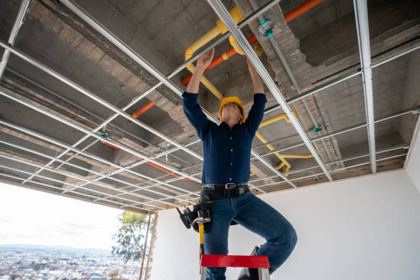 Best Emergency Plumber  in Weslaco, TX